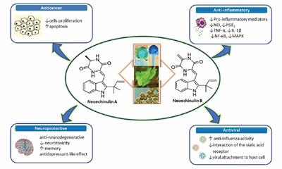 Therapeutic Potential of Neoechinulins and Their Derivatives: An Overview of the Molecular Mechanisms Behind Pharmacological Activities